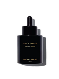 Alchemist - Heidi Merrick