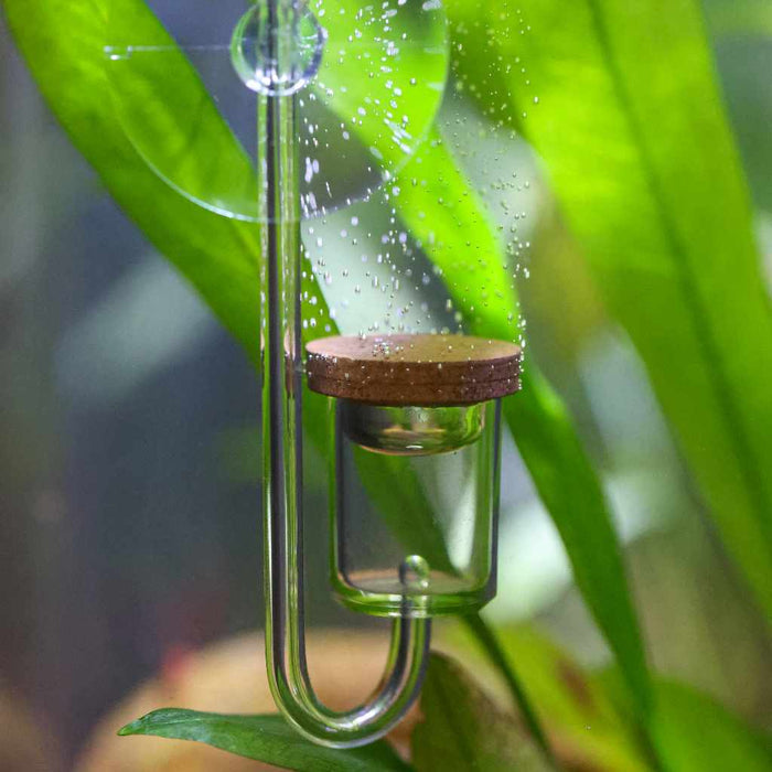 Aquario Neo CO2 Diffuser - Aquarium Co - Op