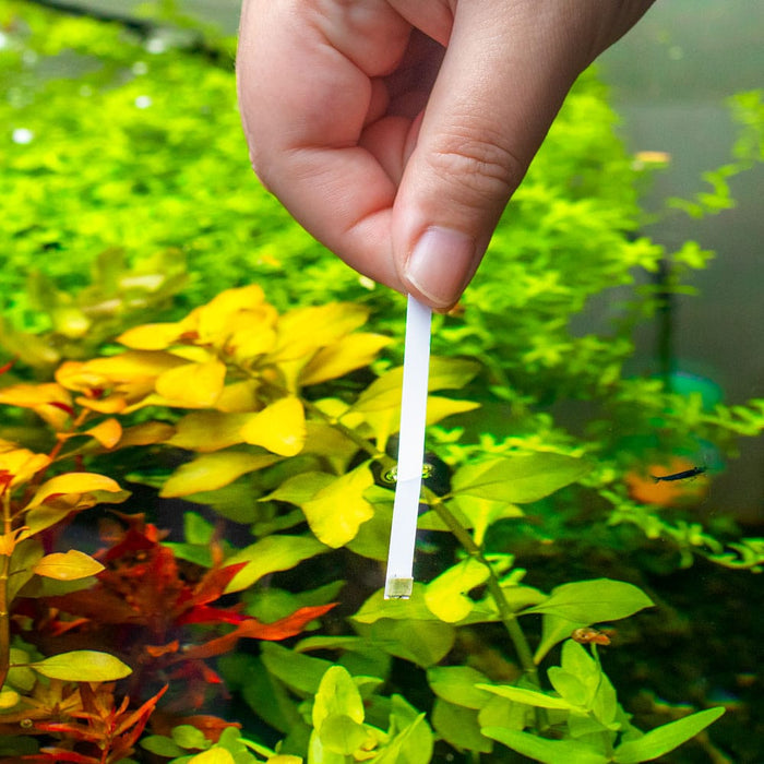Aquarium Co - Op Ammonia Test Strips - Aquarium Co - Op