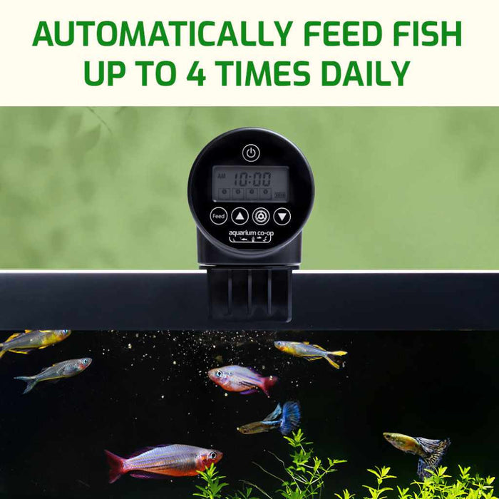 Aquarium Co - Op Auto Feeder - Aquarium Co - Op