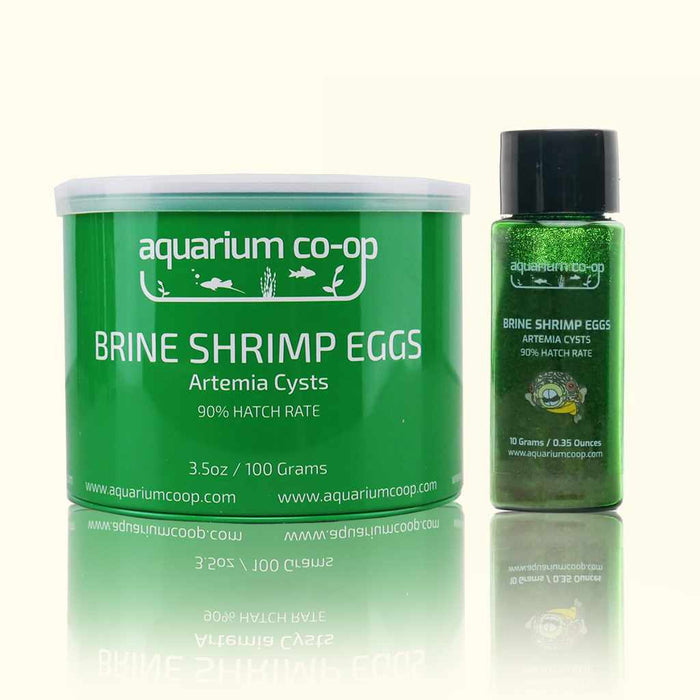Aquarium Co - Op Brine Shrimp Eggs - Aquarium Co - Op
