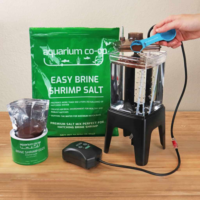 Aquarium Co - Op Brine Shrimp Eggs - Aquarium Co - Op