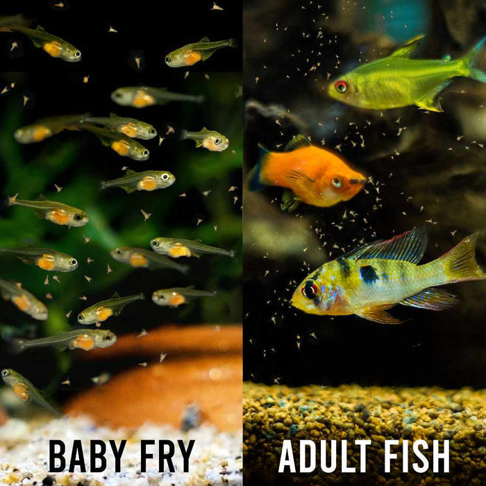 Aquarium Co - Op Brine Shrimp Eggs - Aquarium Co - Op