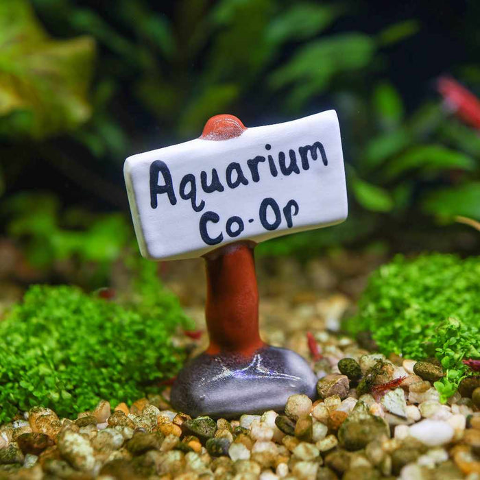 Aquarium Co - Op Decoration - Aquarium Co - Op