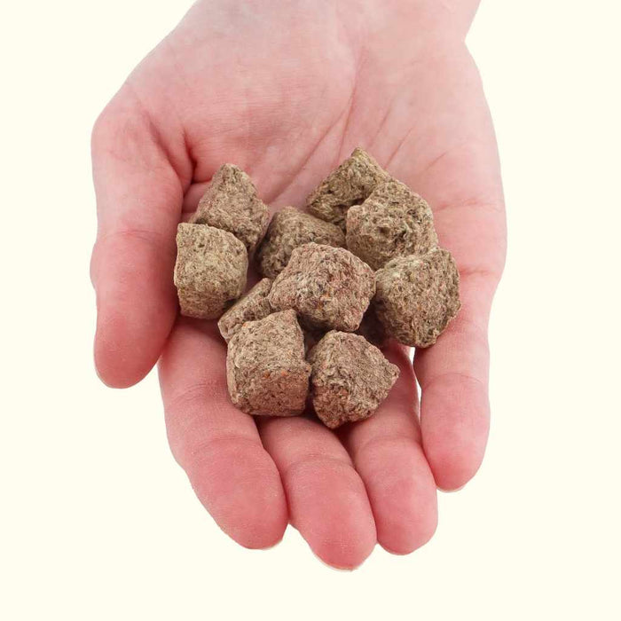 Aquarium Co - Op Freeze Dried Brine Shrimp Cubes - Aquarium Co - Op