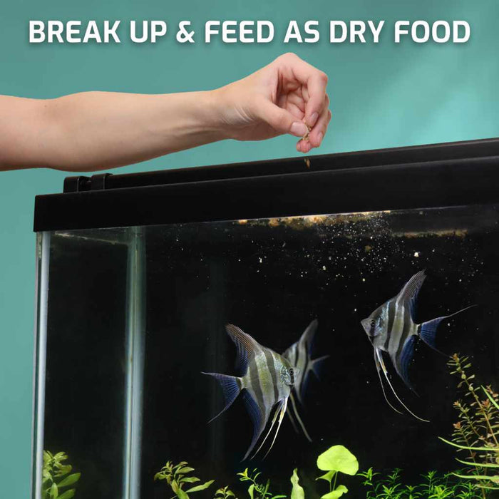 Aquarium Co - Op Freeze Dried Brine Shrimp Cubes - Aquarium Co - Op