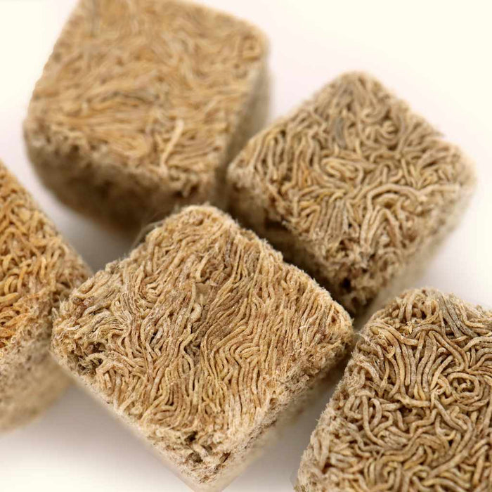 Scratch and Dent Aquarium Co - Op Freeze Dried Tubifex Worms - Aquarium Co - Op
