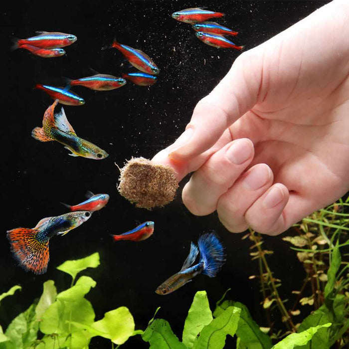 Scratch and Dent Aquarium Co - Op Freeze Dried Tubifex Worms - Aquarium Co - Op