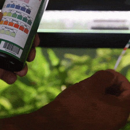 Aquarium Co-Op Multi-Test Strips