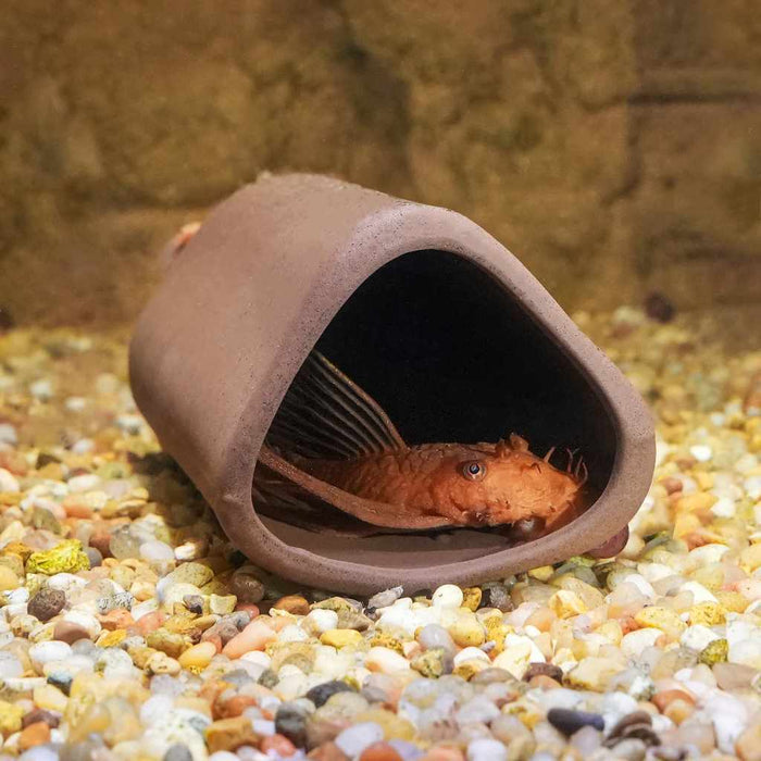 Aquarium Co - Op Pleco Cave - Aquarium Co - Op