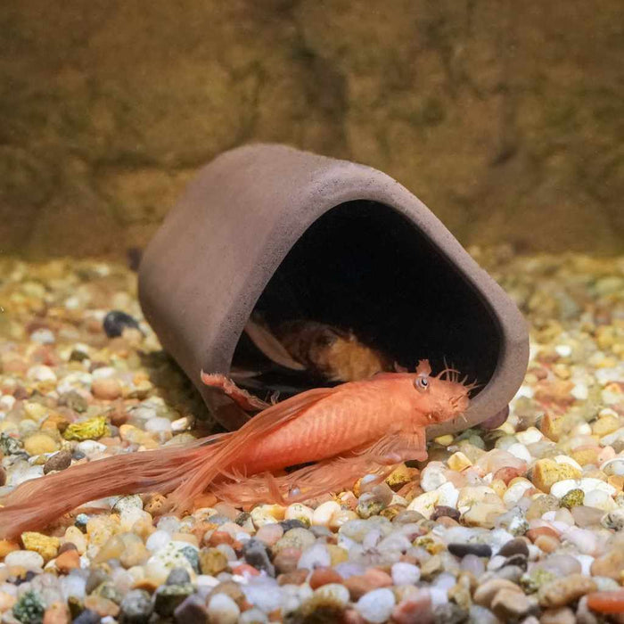 Aquarium Co - Op Pleco Cave - Aquarium Co - Op