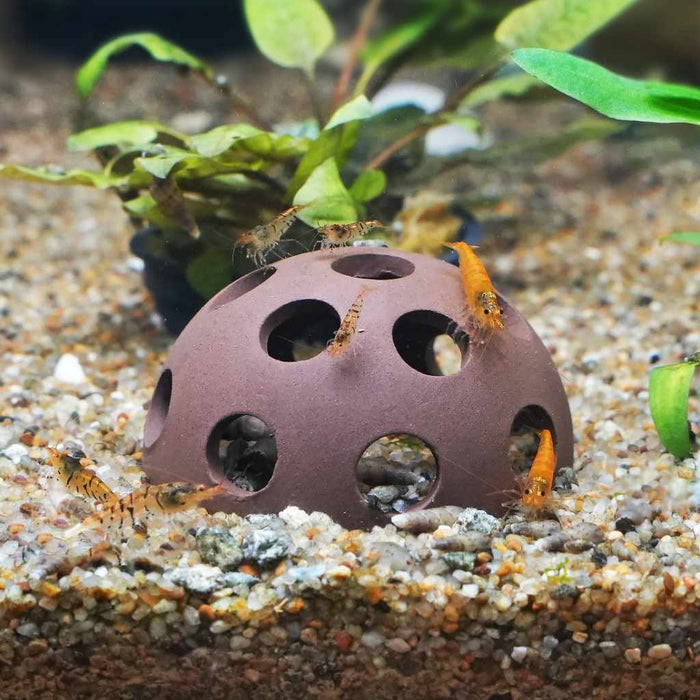 Scratch and Dent Aquarium Co - Op Shrimp Cave - Aquarium Co - Op