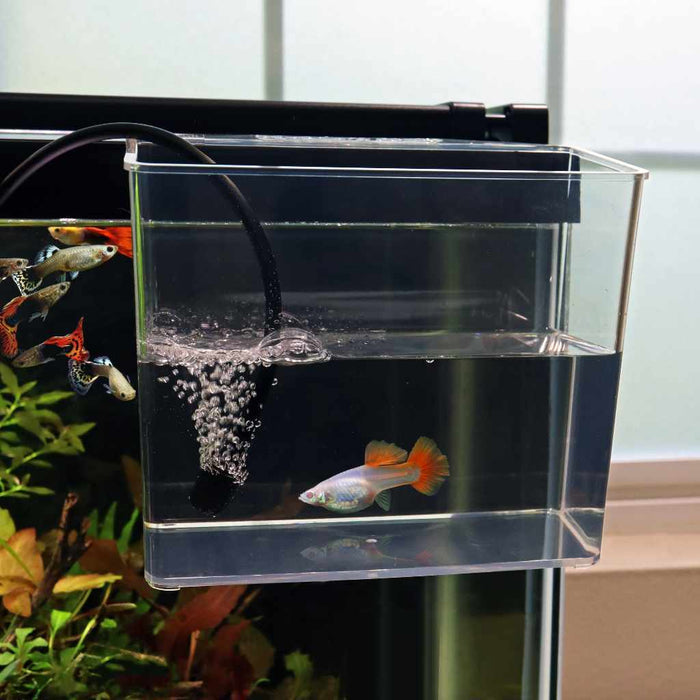 Aquarium Co - Op Unbreakable Catch Cup - Aquarium Co - Op