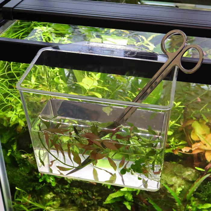 Aquarium Co - Op Unbreakable Catch Cup - Aquarium Co - Op
