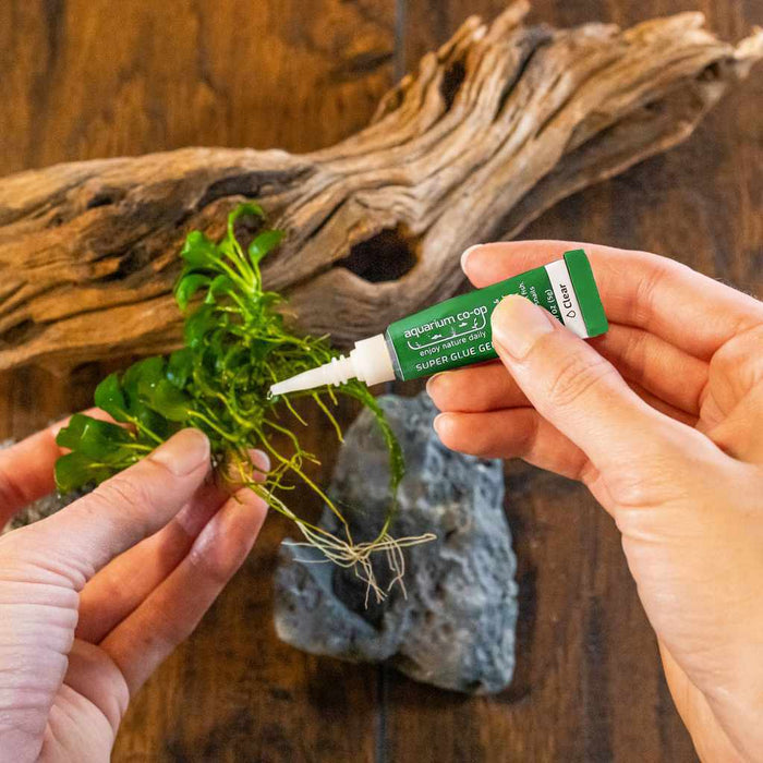Aquarium Safe Super Glue Gel - Aquarium Co - Op