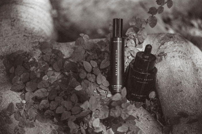 Beauty Potion - Heidi Merrick