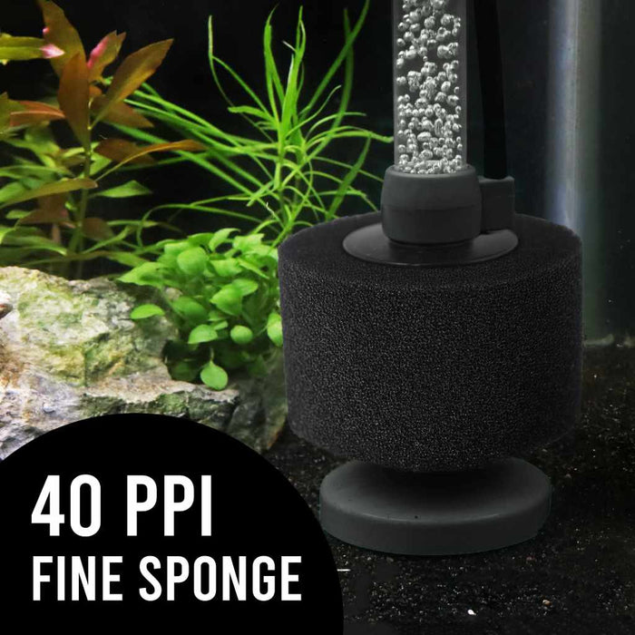 Scratch and Dent Black Easy Flow Sponge Filter (fine) - Aquarium Co - Op