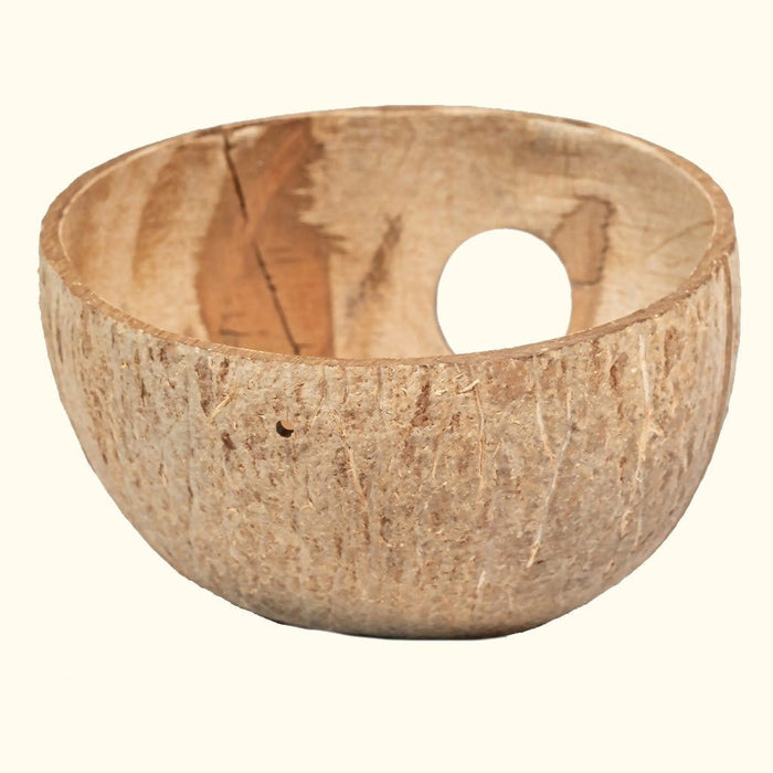 Coconut Hut - Aquarium Co - Op