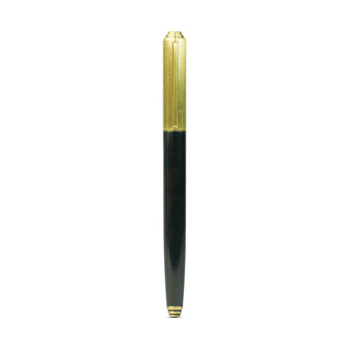 Delike Wood Fashion Fountain Pen