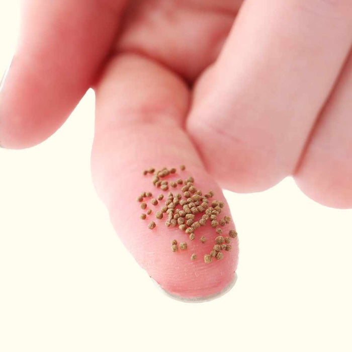 Scratch and Dent Easy Community Floating Pellets - Aquarium Co - Op