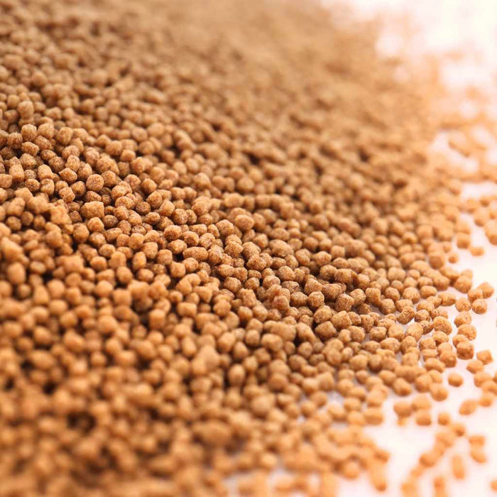 Scratch and Dent Easy Community Floating Pellets - Aquarium Co - Op