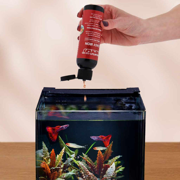 Easy Iron - Aquarium Co - Op