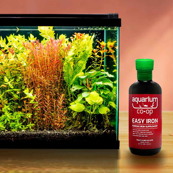 Easy Iron - Aquarium Co - Op