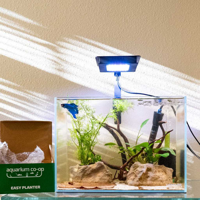Scratch and Dent Easy Planter - Aquarium Co - Op