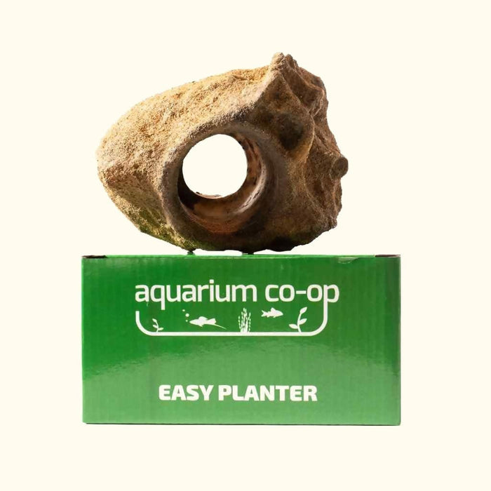 Scratch and Dent Easy Planter - Aquarium Co - Op