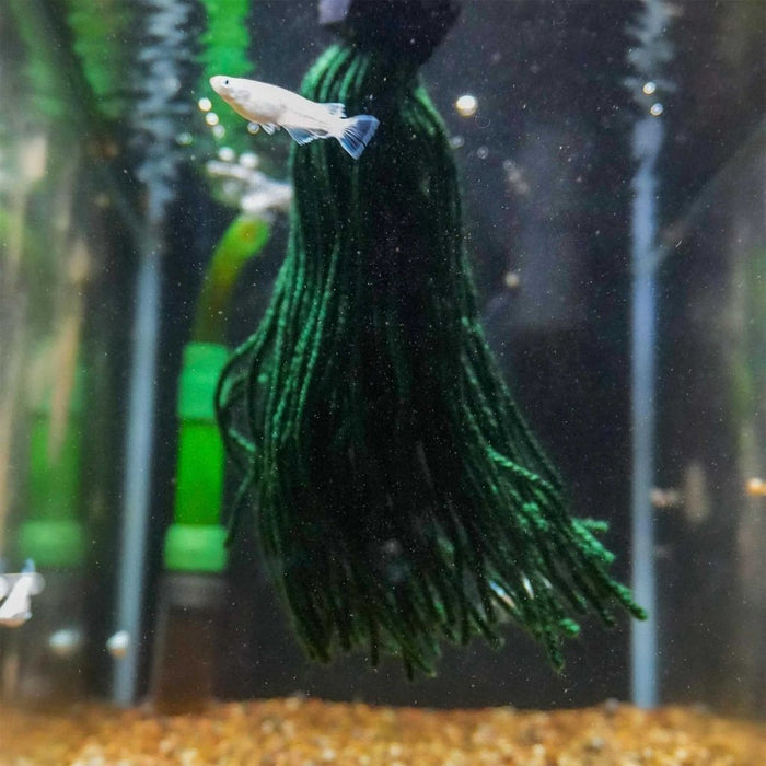 Easy Spawning Mop - Aquarium Co - Op