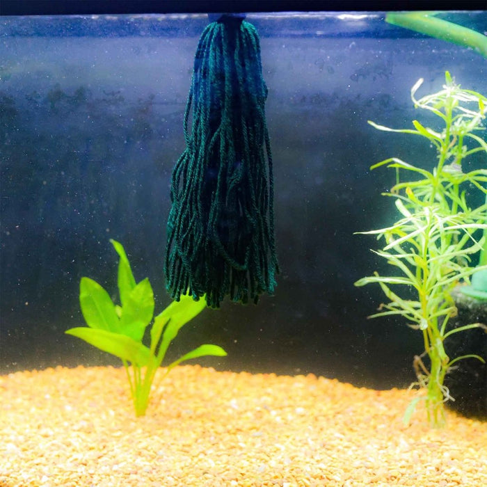 Easy Spawning Mop - Aquarium Co - Op