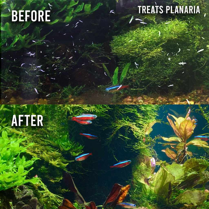 Fritz Expel - P - Aquarium Co - Op