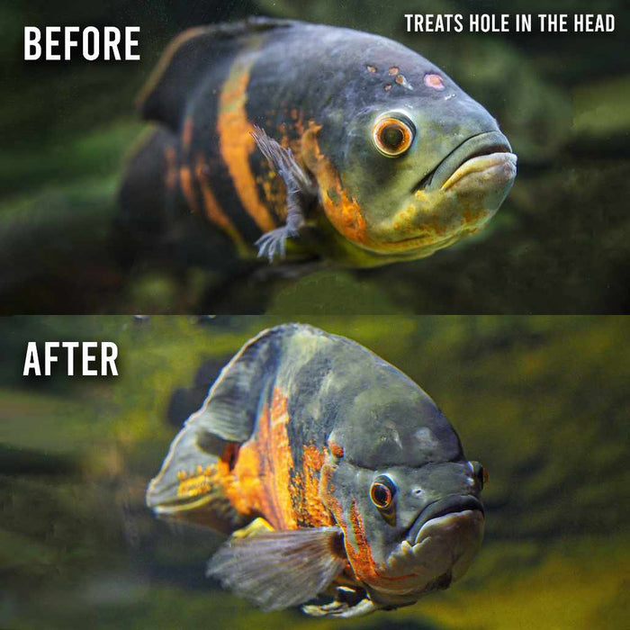 Fritz ParaCleanse - Aquarium Co - Op