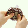 FUFUSQUISHY Crunchy Chocolate Stress Ball (Random Color)