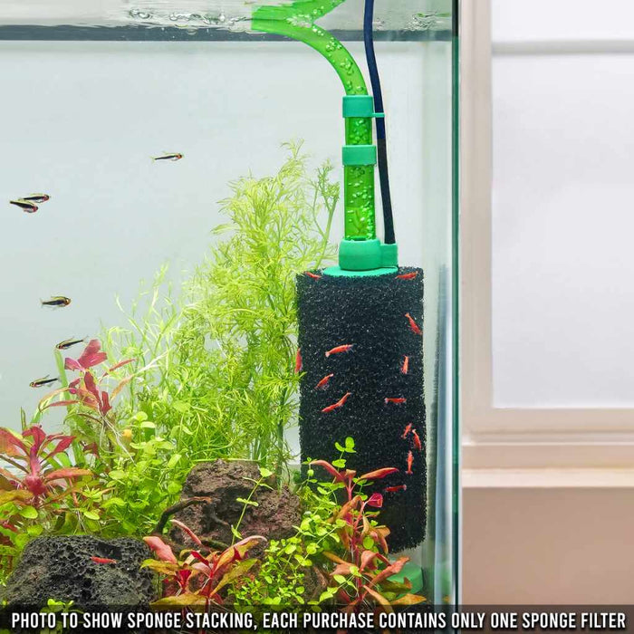 Scratch and Dent Green Easy Flow Sponge Filter (coarse) - Aquarium Co - Op