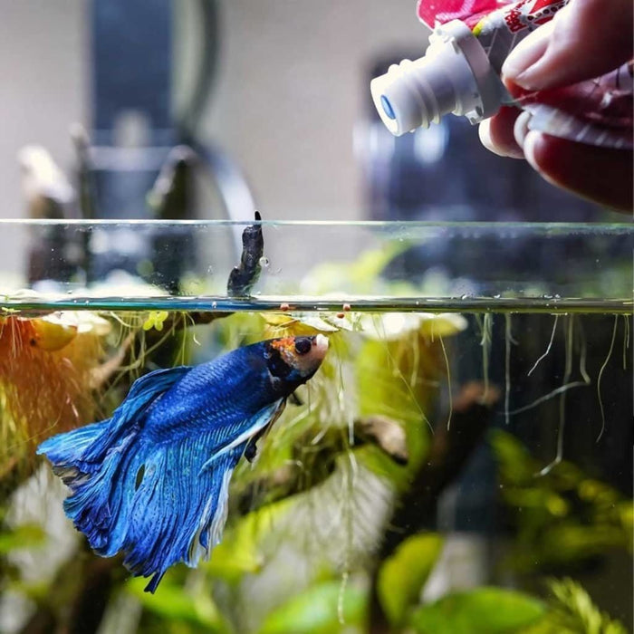 Hikari Betta Bio Gold Pellet - Aquarium Co - Op