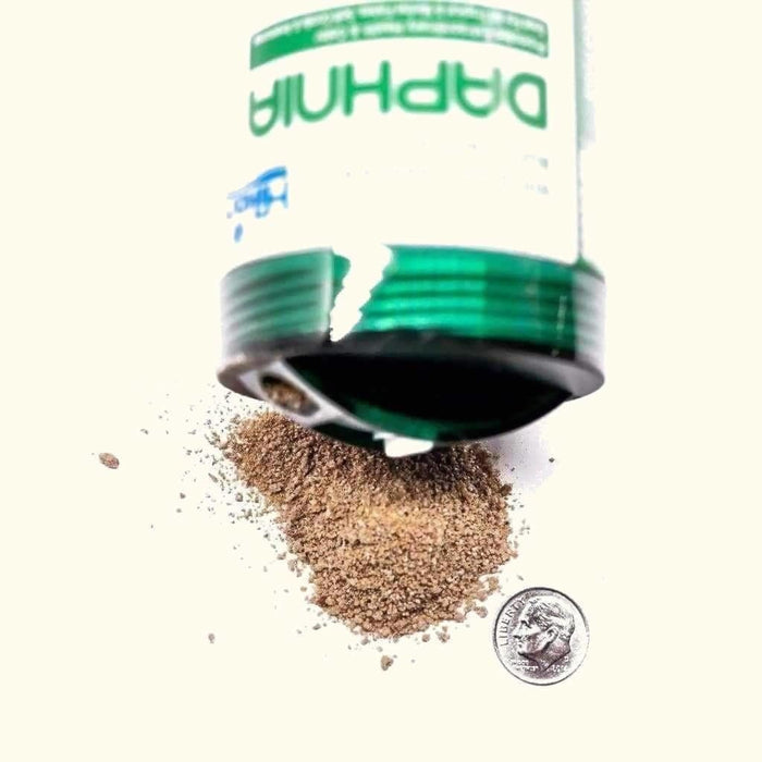 Hikari Freeze Dried Daphnia - Aquarium Co - Op