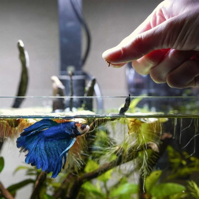 Hikari Vibra Bites - Aquarium Co - Op