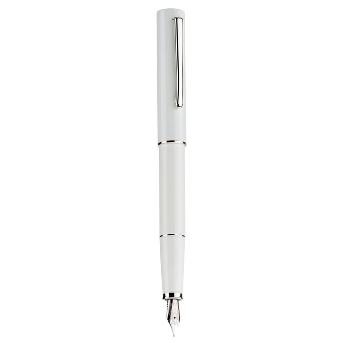 Hongdian Fountain Pen - C2