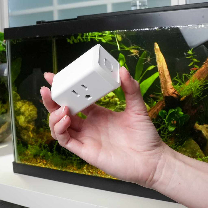 Kasa WiFi Light Timer - Aquarium Co - Op
