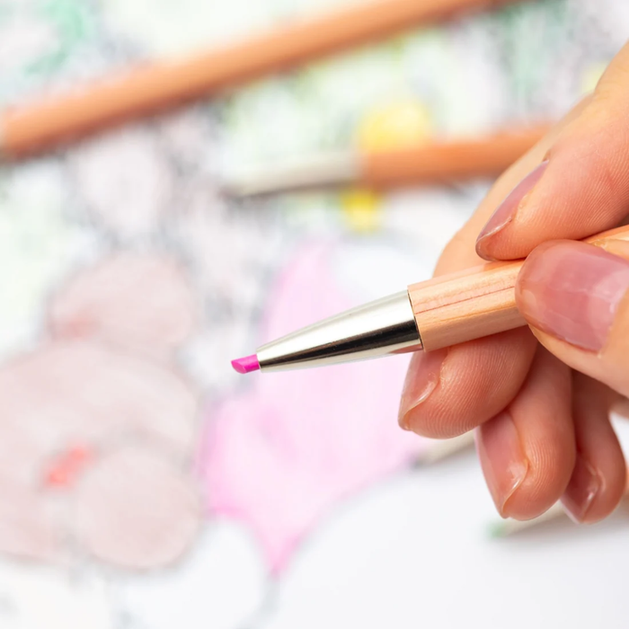 Kitaboshi Hokusei Coloured Mechanical pencil Set