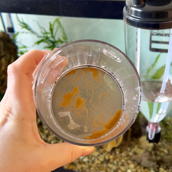 Large Ziss Brine Shrimp Collector Sieve - Aquarium Co-Op