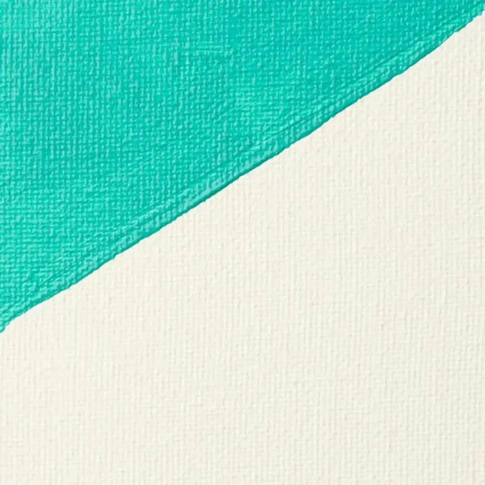 Liquitex Professional White Gesso Surface Prep Medium