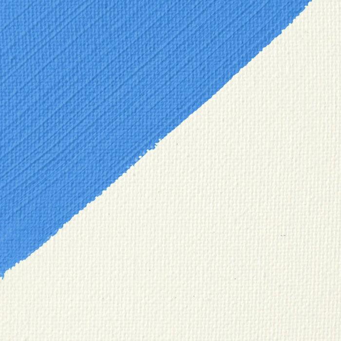 Liquitex Professional White Gesso Surface Prep Medium