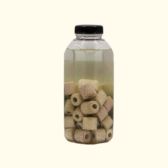 Live Aquarium Bacteria Starter Culture - Aquarium Co - Op