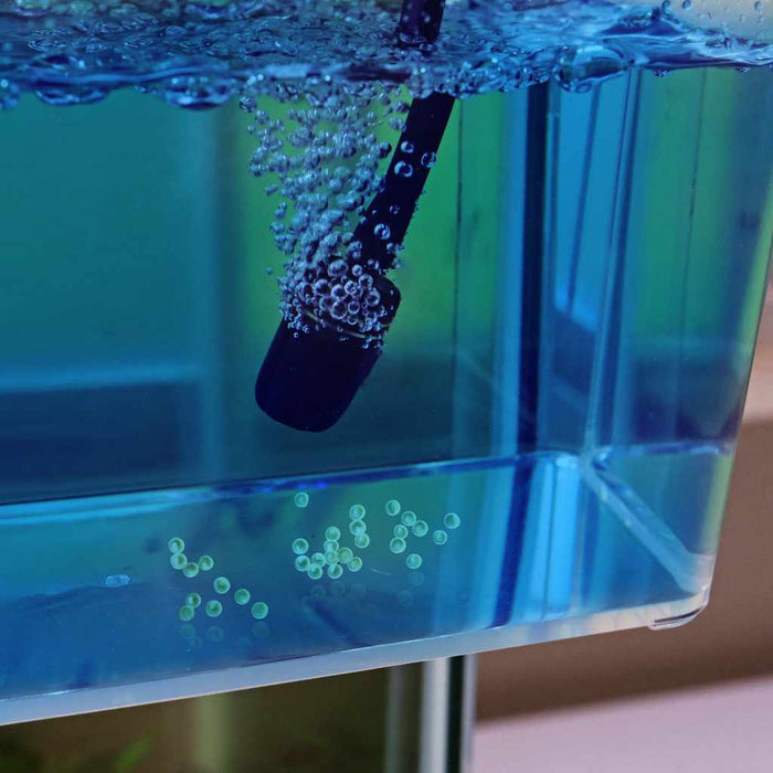 Methylene Blue - Aquarium Co - Op