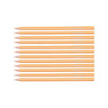 Paper Mate Colored Pencils Blush Pack of 12  Paper Mate Pencils