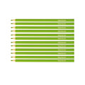 Paper Mate Colored Pencils Grass Green Pack of 12 (Writes Grass Green)  Paper Mate Pencils