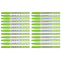 Paper Mate Inkjoy 100 ST Lime Ballpoint Pen, Pack of 24  Paper Mate Ballpoint Pen