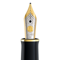 Pelikan M400 Nib Unit